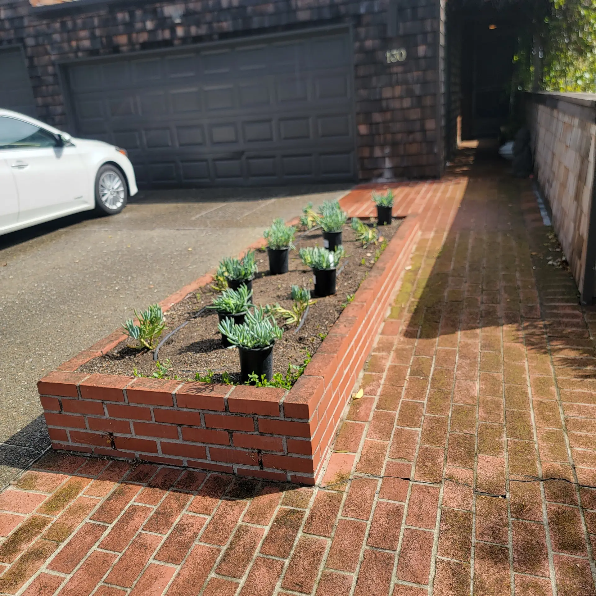Sprinklers and irrigation in Marin County