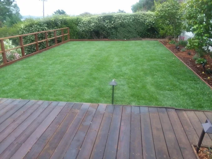 Lawn and turf care in Marin County