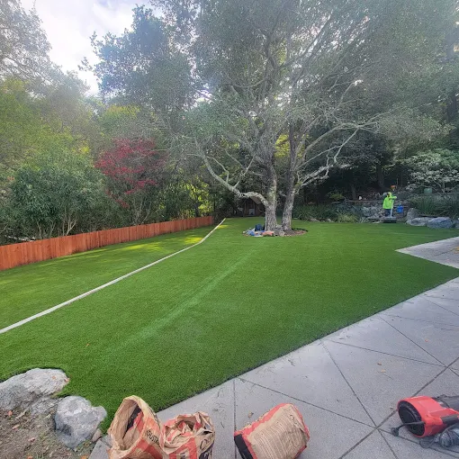 Garden beds and plants in Marin County