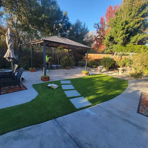 Yard cleanup and refresh in Marin County