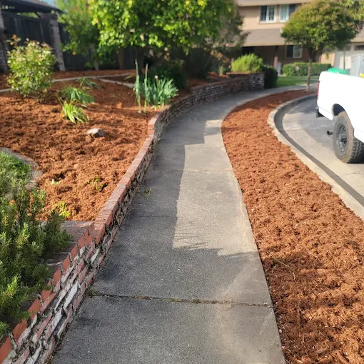 Juarez Landscaping