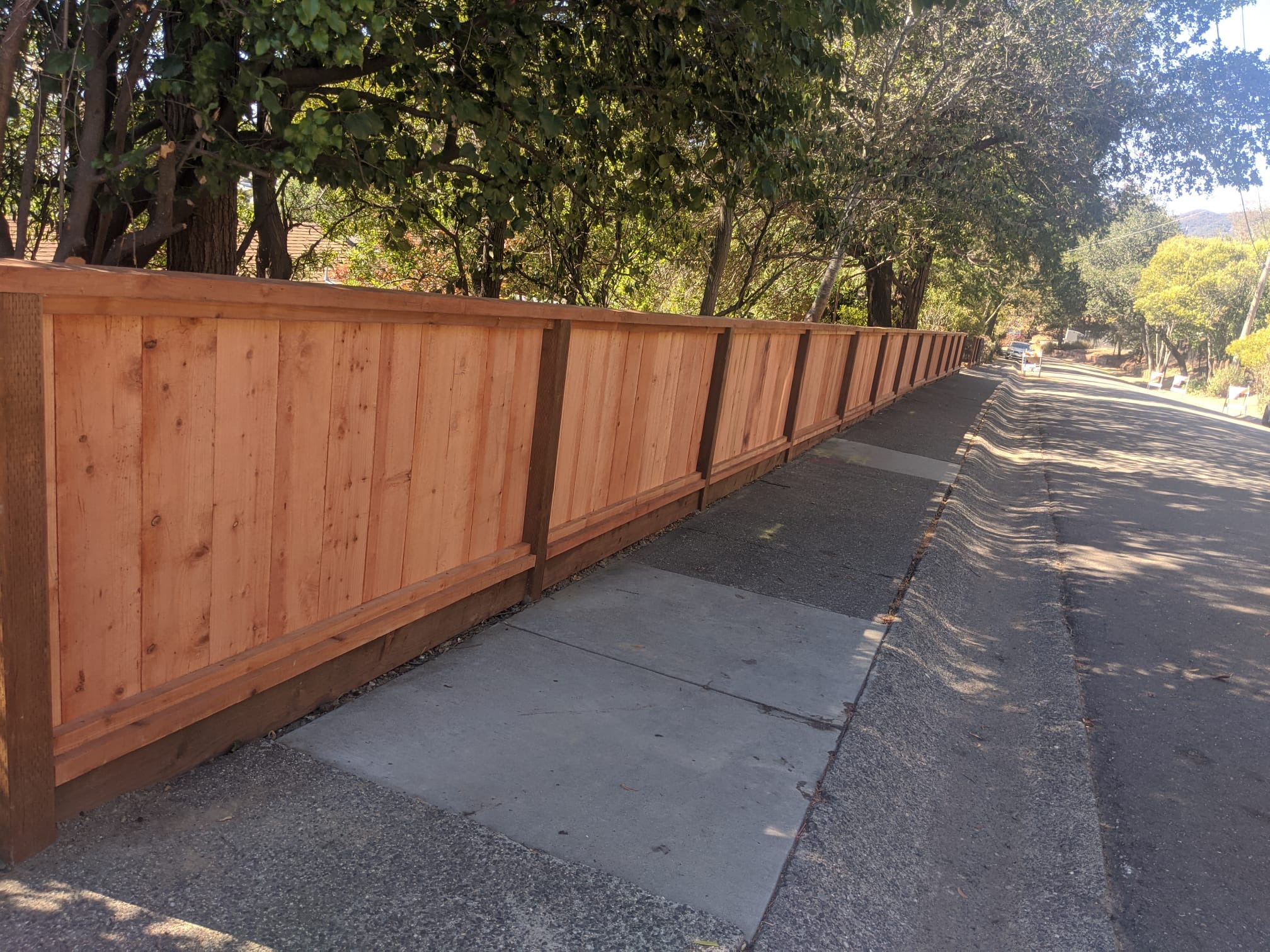 Juarez Landscaping