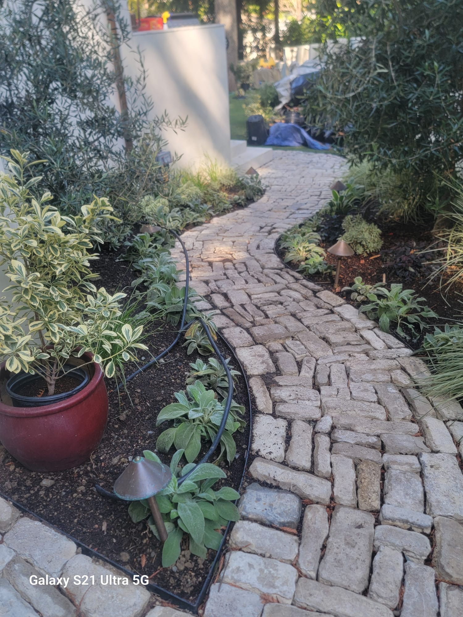 Professional landscaping installation